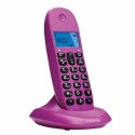 Telephone Motorola C1001 - Turquoise