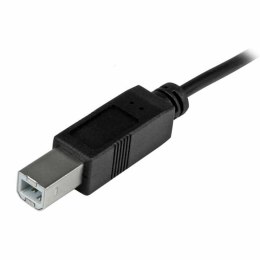 USB C to USB B Cable Startech USB2CB2M Black 2 m