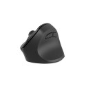 Mouse Natec NMY-2048 Black