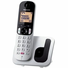 Wireless Phone Panasonic KXTGC250SPS Silver