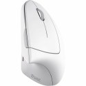 Mouse Trust 25132 White