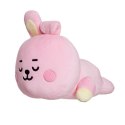 Line Friends BT21 - Plush cushion 28 cm COOKY Baby