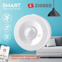 Alpina - Smart PIR motion sensor Zigbee network