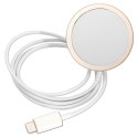 Guess Bundle Pack MagSafe 4G - Set of case for iPhone 11 + MagSafe charger (Brown/Gold)
