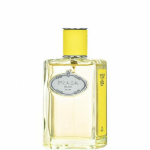 Women's Perfume Prada Infusion D´Ylang 100 ml