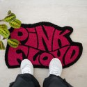 Pink Floyd - Eraser (62 x 38 cm)