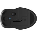 Wireless Mouse HP 8R3U1AA Black