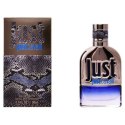 Men's Perfume Just Cavalli Roberto Cavalli EDT - 90 ml