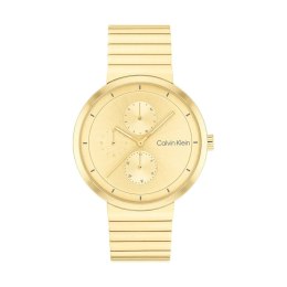 Men's Watch Calvin Klein 25100030