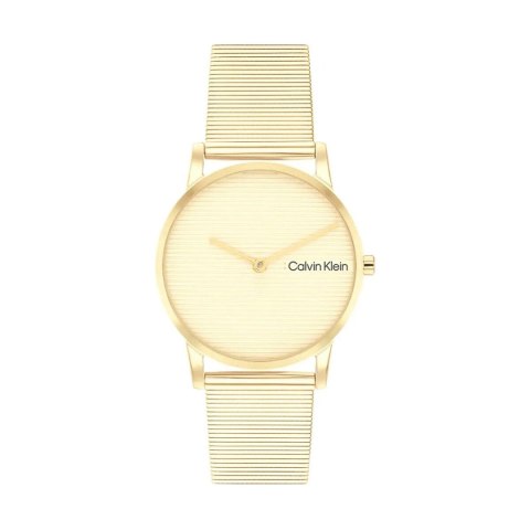 Men's Watch Calvin Klein 25100035