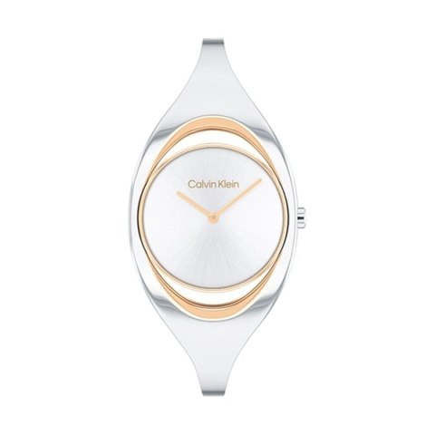 Ladies' Watch Calvin Klein 25200393