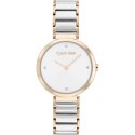 Ladies'Watch Calvin Klein 25200139