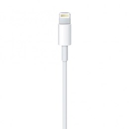 Apple kabel przewód USB-A - Lightning 1m biały (MXLY2ZM/A)