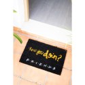 Friends - Doormat