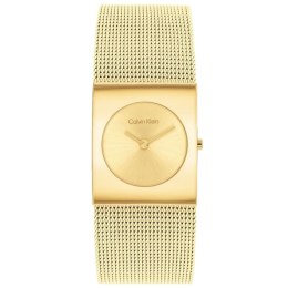 Men's Watch Calvin Klein 25100062