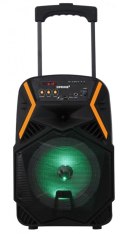 Głośnik APS22 system audio Bluetooth Karaoke