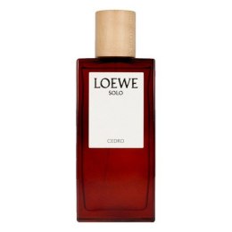 Men's Perfume Loewe EDT - 100 ml