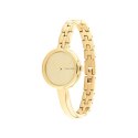 Men's Watch Calvin Klein 25200279 Golden