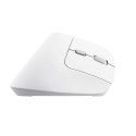 Trust Bayo II - Ergonomic Wireless Mouse (White)