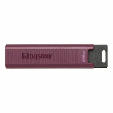 USB stick Kingston DTMAXA/256GB Red 256 GB