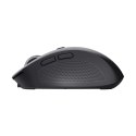 Wireless Mouse Trust 24819 Black 3200 DPI