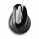 Optical Wireless Mouse NGS EVOMOKSHA Black