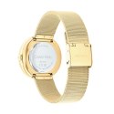 Ladies' Watch Calvin Klein 25200150