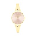 Ladies' Watch Calvin Klein 25100027