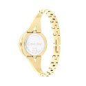 Ladies' Watch Calvin Klein 25100027