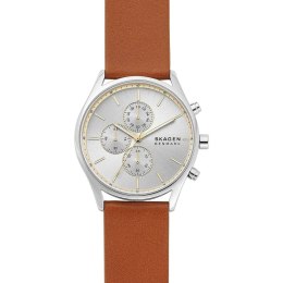 Men's Watch Skagen HOLST