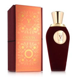 Unisex Perfume V Canto EDP