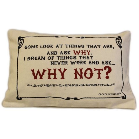 CUSCINI LETTERARI - Copricuscino in Juta lavata / Cotton pillow case WHY NOT - Size 38x25cm